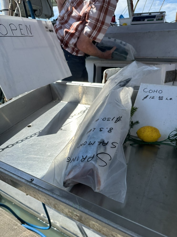  리치몬드 스티브스톤에서 사시미회 먹으려고 연어사봤습니다, 절대 사지마세요!