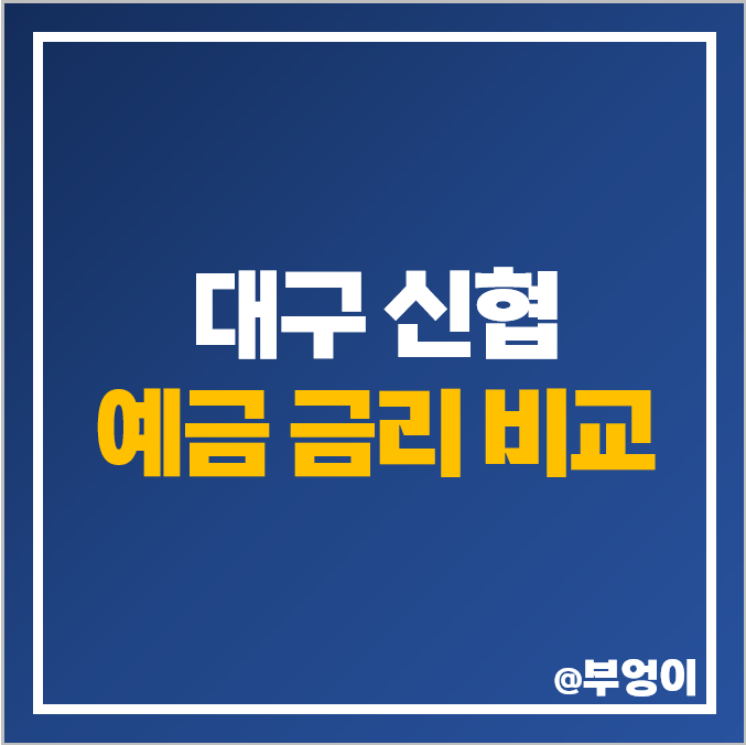 대구 신협 정기예금 금리 비교 이자 높은 고금리 특판 추천 대구 신협 정기예금 금리 비교 이자 높은 고금리 특판 추천