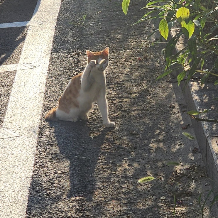  오랜만에 돌아온 일상 log