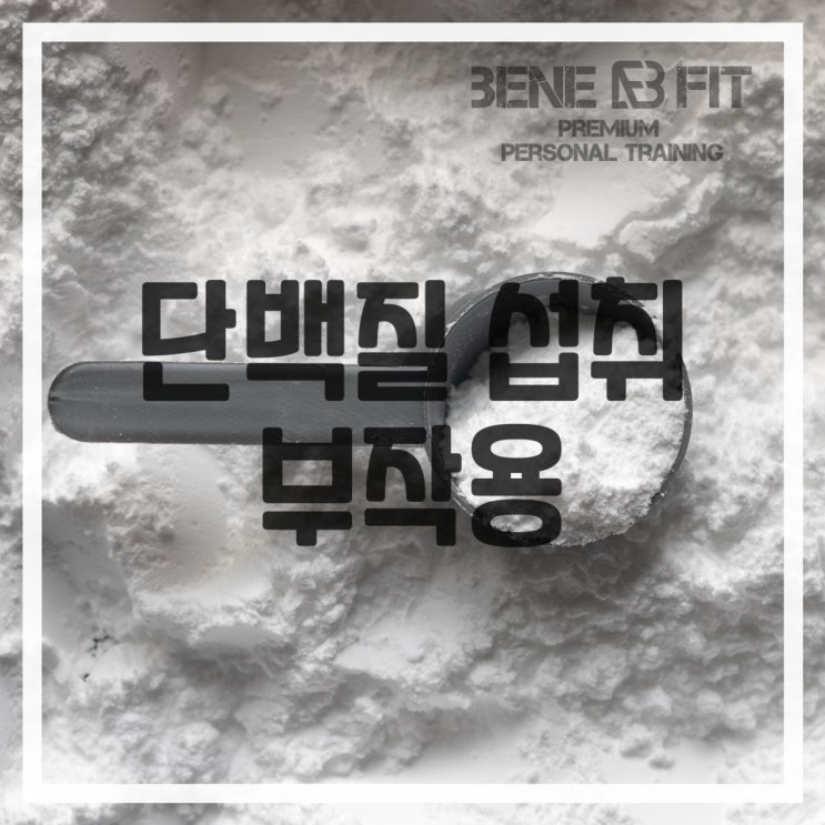 단백질 섭취량 부작용 고촌 헬스장에서 배워봐요