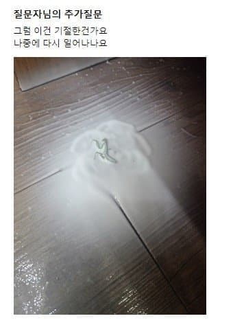 사마귀도 에프킬라로 죽나요?
