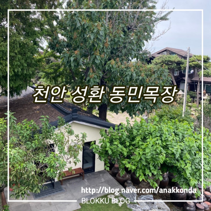 천안 성환 동민목장 - 대형카페/ 옥상 테라스/ 시그니처/ 밀크티