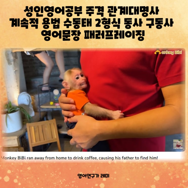 영어회화공부 혼자하기 성인영어공부 영어문장 패러프레이징 주격 관계대명사 계속적 용법 수동태 2형식동사 구동사 영어회화공부 혼자하기 성인영어공부 영어문장 패러프레이징 주격 관계대명사 계속적 용법 수동태 2형식동사 구동사
