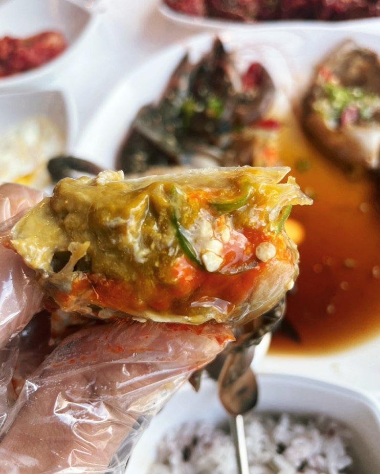 [경기 안산 맛집] 이동고고갈비 연평도 대장게장 내돈내산 후기