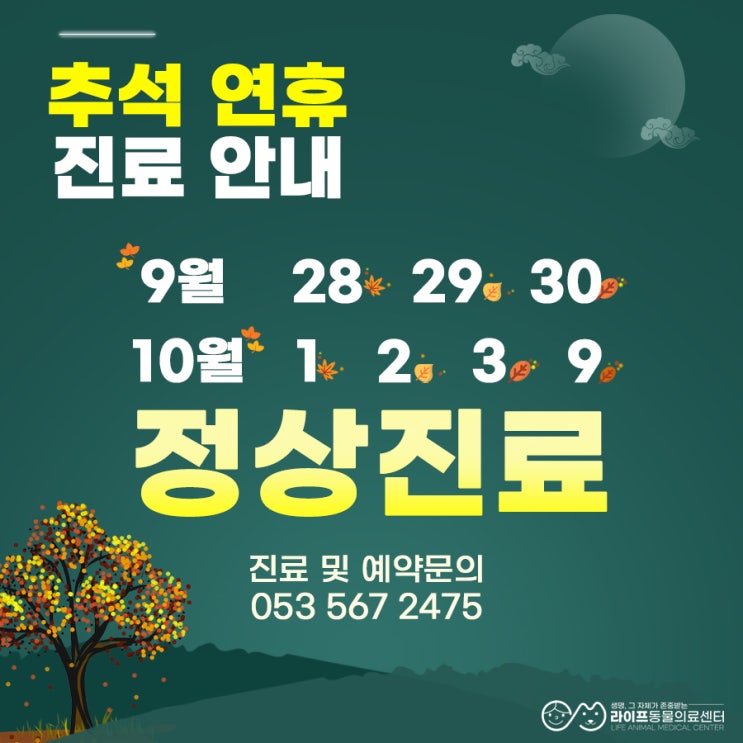 대구 추석 연휴 동물병원 정상진료 안내 : 추석에 진료 가능한 대구24시동물병원 야간진료 응급진료 응급수술