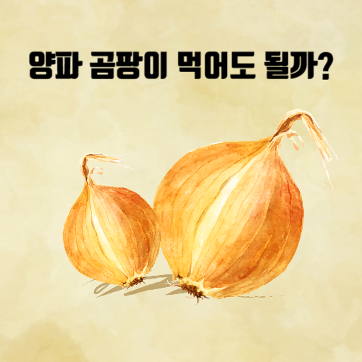  양파 곰팡이 먹어도 되나요?