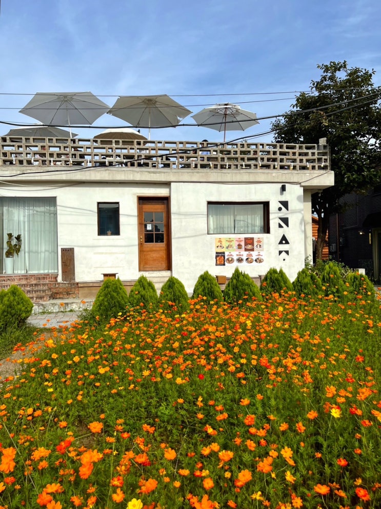  수원 행궁동 분위기 좋은 카페 공간상점 황화코스모스 추천 명소