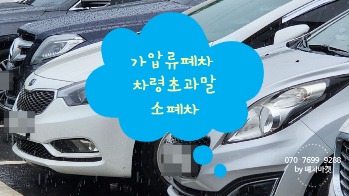  가압류폐차 차령초과말소폐차