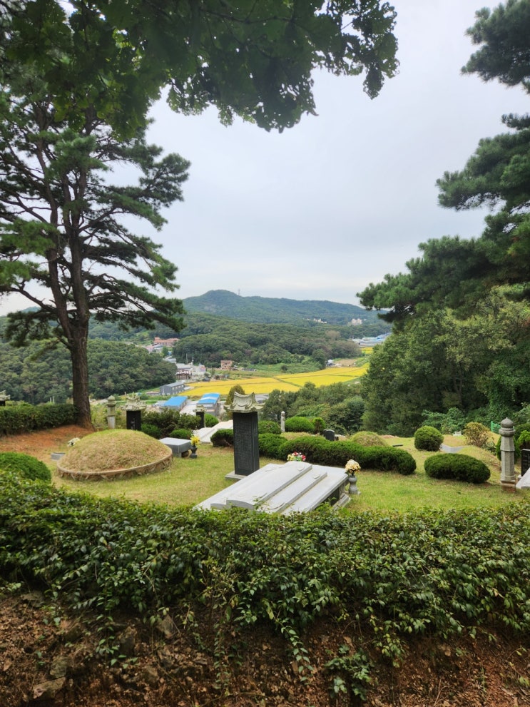  [경기둘레길 58코스] 장릉~새솔학교 8.6km 걷기