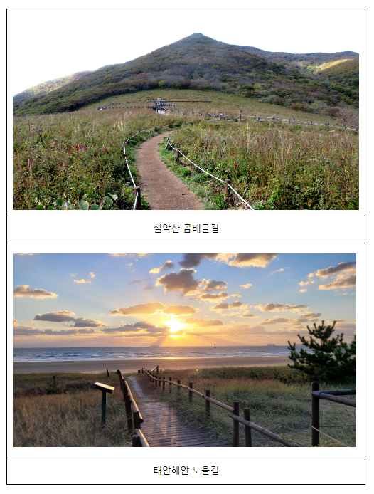 직영주차장 무료이용 등 추석연휴 국립공원 이용 지원 대책 추진 직영주차장 무료이용 등 추석연휴 국립공원 이용 지원 대책 추진