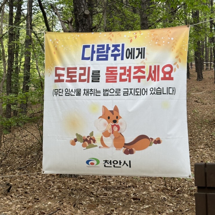  230417~23 먹고 살기