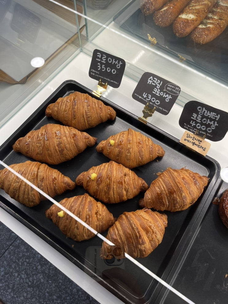  대전 중구청 카페 로로네 베이커리 존맛탱 추천해요!