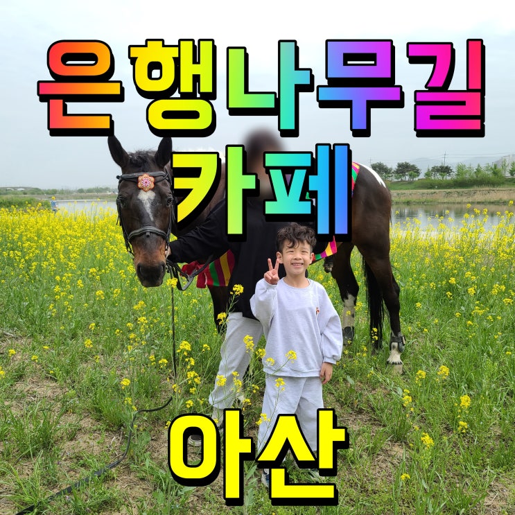  아산 은행나무길 카페 티타임 시간 잠시 휴식