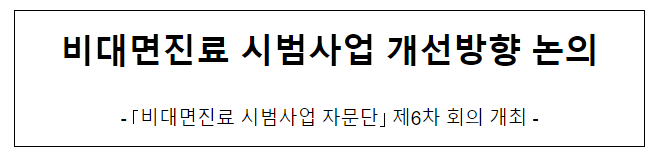 비대면진료 시범사업 개선방향 논의 비대면진료 시범사업 개선방향 논의