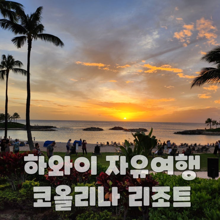  35개월 아이랑 하와이 자유여행 - 메리어트 코올리나 비치클럽 부대시설편