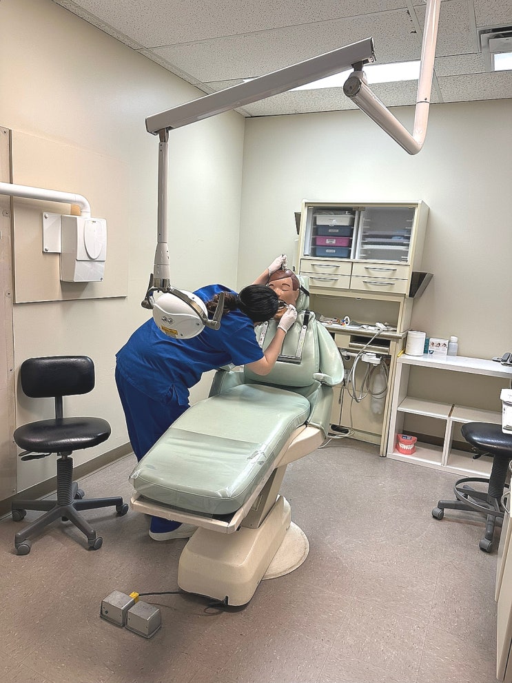 CDI 칼리지 치과 보조사 과정 탐방기