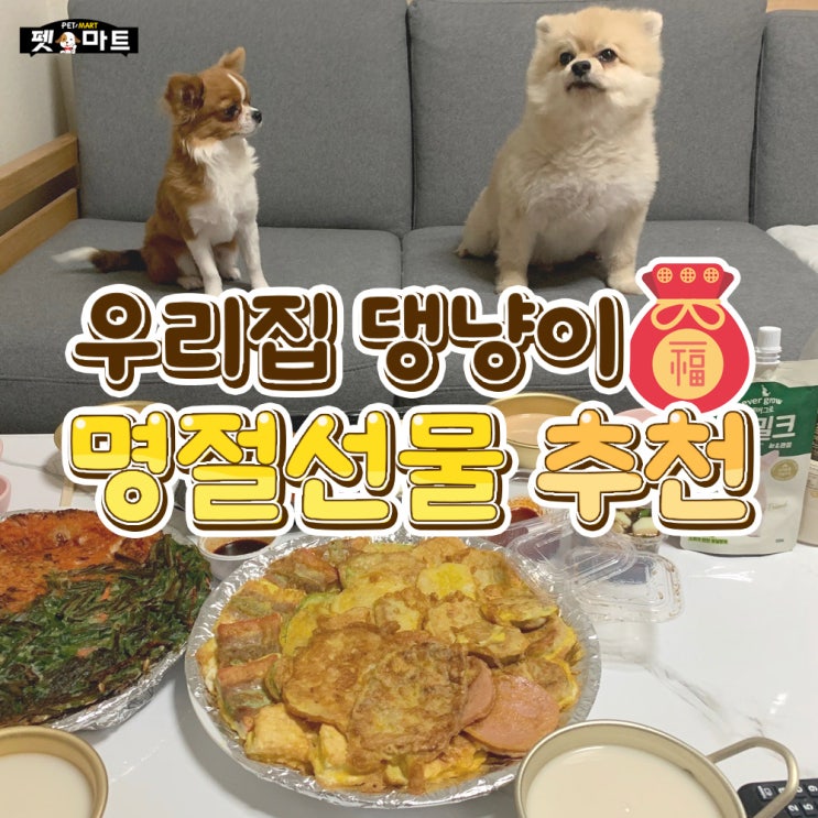  우리 집 강아지, 고양이 추석선물 추천