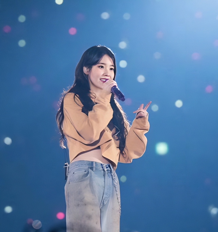  아이유 후드 , 팬 콘서트 사복 후드 어디 걸까?