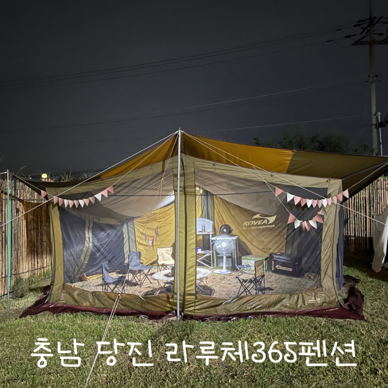 사진 3