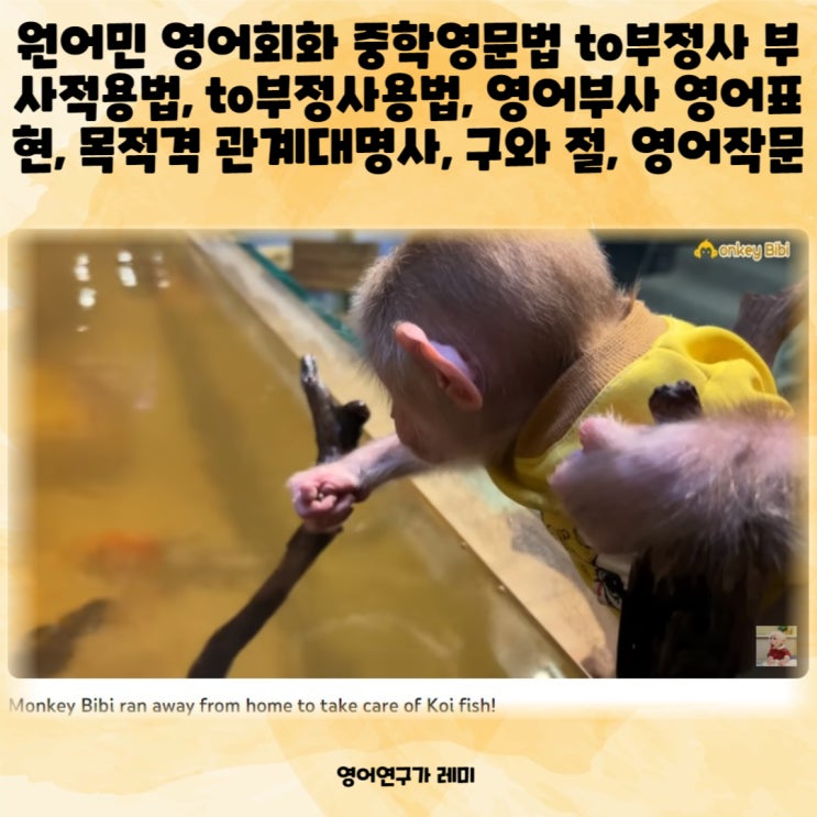 원어민 영어회화 중학영문법 to부정사 부사적용법, to부정사용법, 영어부사 영어표현, 목적격 관계대명사, 구와 절, 영어작문 원어민 영어회화 중학영문법 to부정사 부사적용법, to부정사용법, 영어부사 영어표현, 목적격 관계대명사, 구와 절, 영어작문