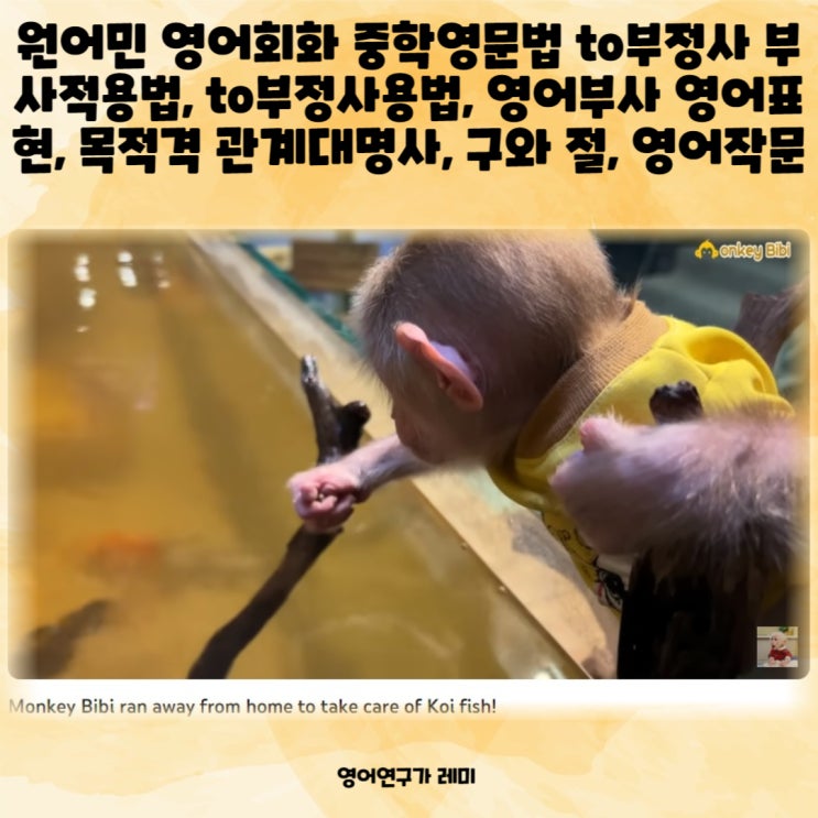 원어민 영어회화 중학영문법 to부정사 부사적용법, to부정사용법, 영어부사 영어표현, 목적격 관계대명사, 구와 절, 영어작문