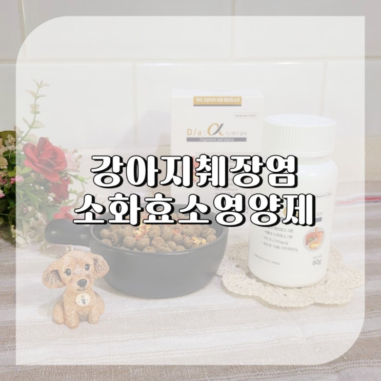  강아지 췌장염 관리 소화효소 영양제 디에이알파