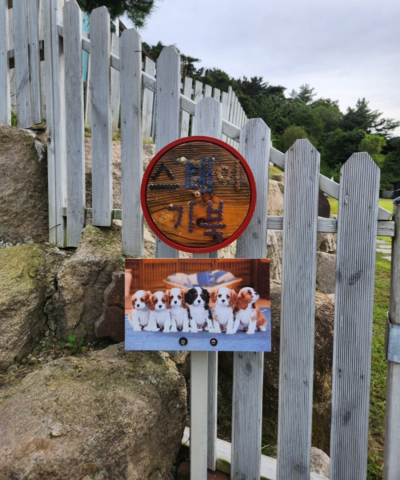 사진 14