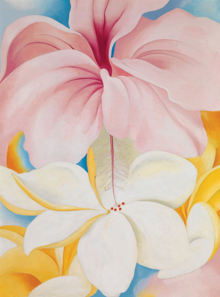   ART MUSEUM _ Georgia O'Keeffe / Lori Preusch