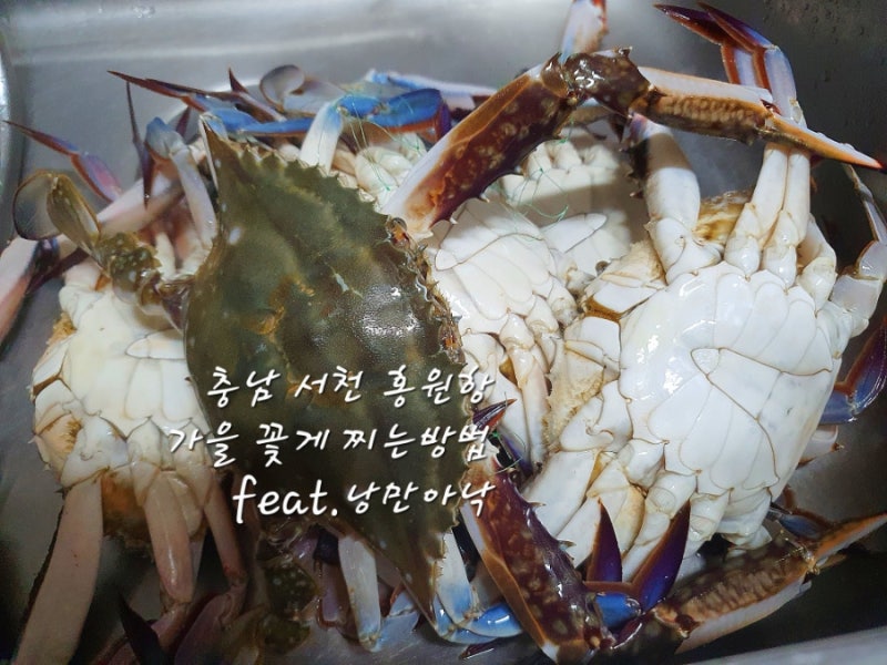 꽃게 찌는 방법, 시간, 세척, 꽃게찜 / 다이소 게포크 게스푼 / 충남 서천 홍원항 구매, 대천항....