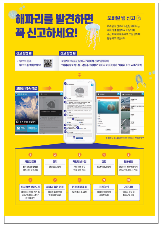전북해역 보름달물해파리 주의특보 해제 전북해역 보름달물해파리 주의특보 해제