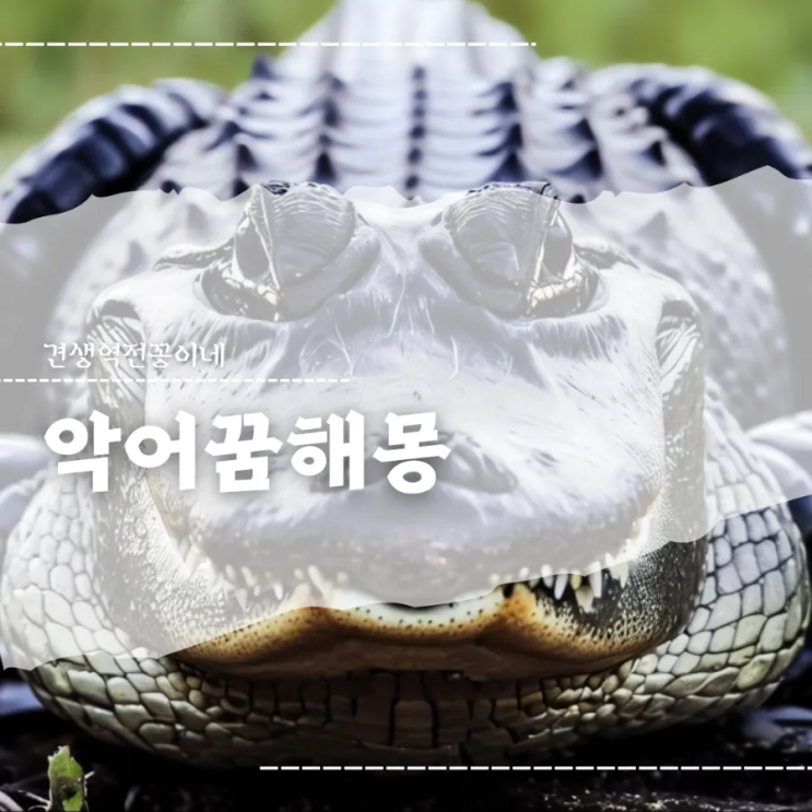  악어 물리는 꿈 악어꿈 악어떼가나오는꿈 해몽
