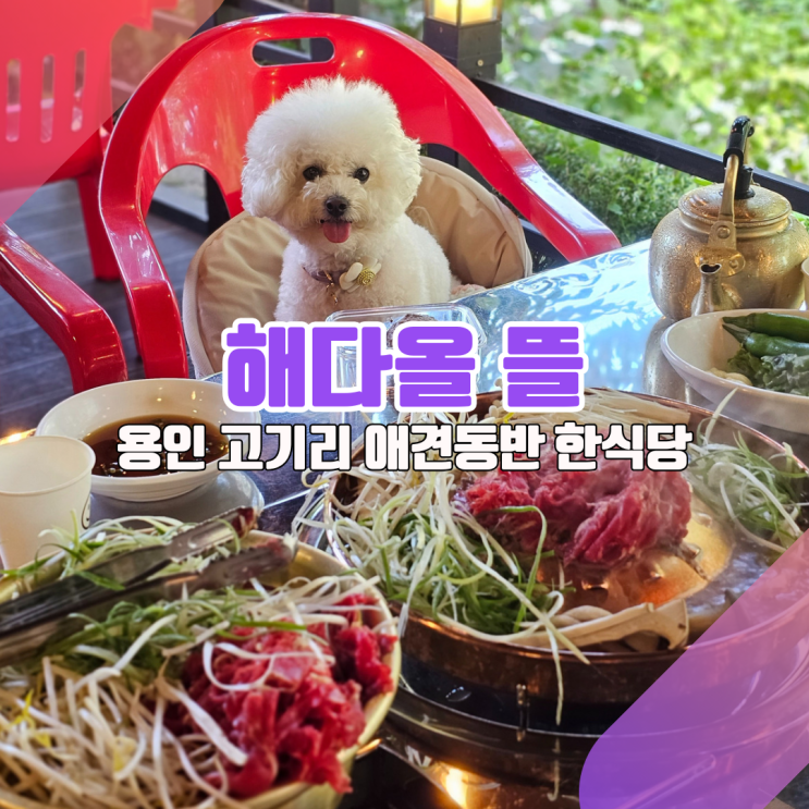  [용인 고기리 애견동반 식당_해다올뜰] 계곡 앞에서 불고기전골을 먹는다?