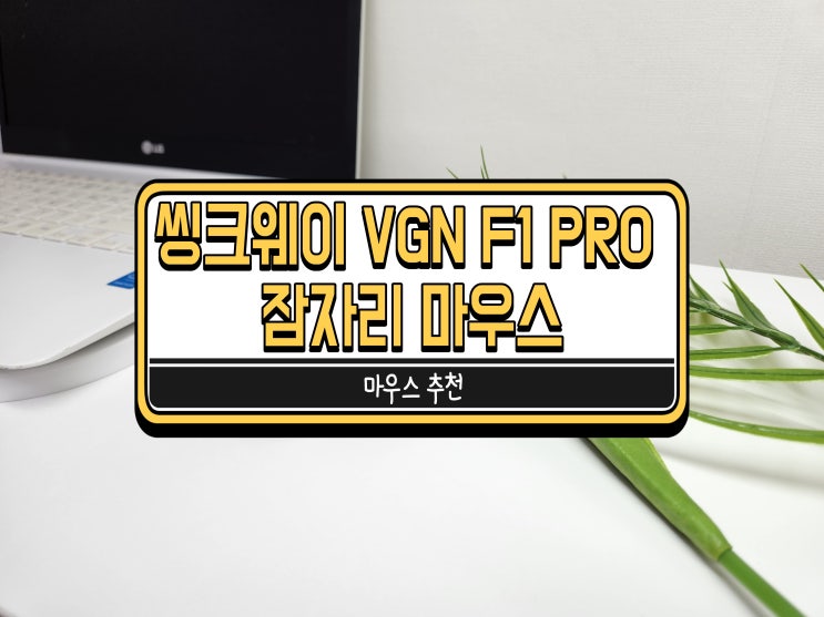  씽크웨이 VGN F1 PRO 잠자리 마우스 추천! 데스크룩 필수품!