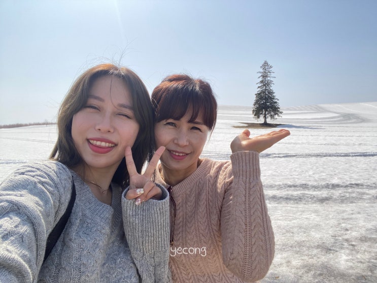  삿포로 여행 Day 2. 3월의 비에이 버스 투어