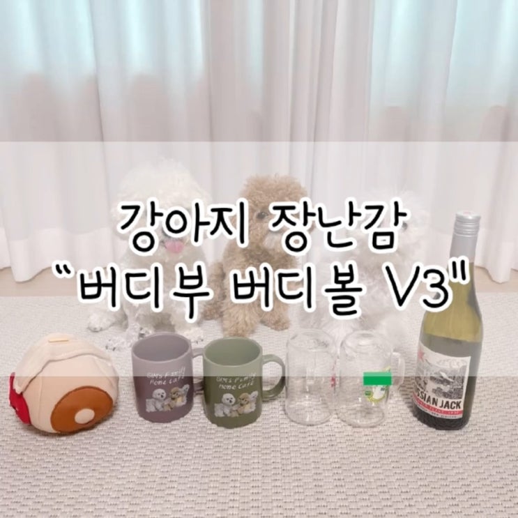 버디부 버디볼 V3 / 버디부 버디볼 / 버디볼 / 강아지 장난감 / 강아지 노즈워크 / 노즈워크 / 강아지 움직이는 장난감 / 분리불안 해소 장난감 / 움직이는 장난감
