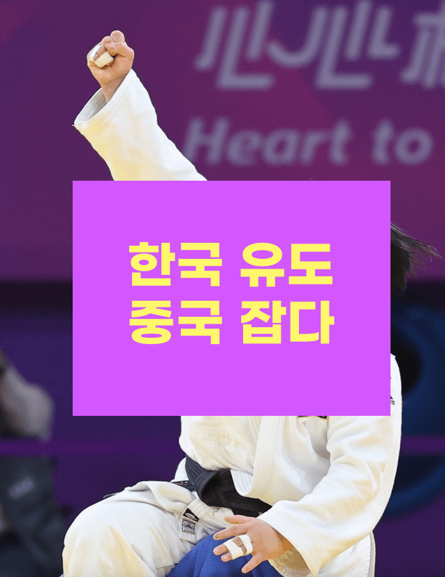 대북 선전법 위헌 판결 / 로톡 분쟁 / 이재명 <b>구속영장</b> 기각 등