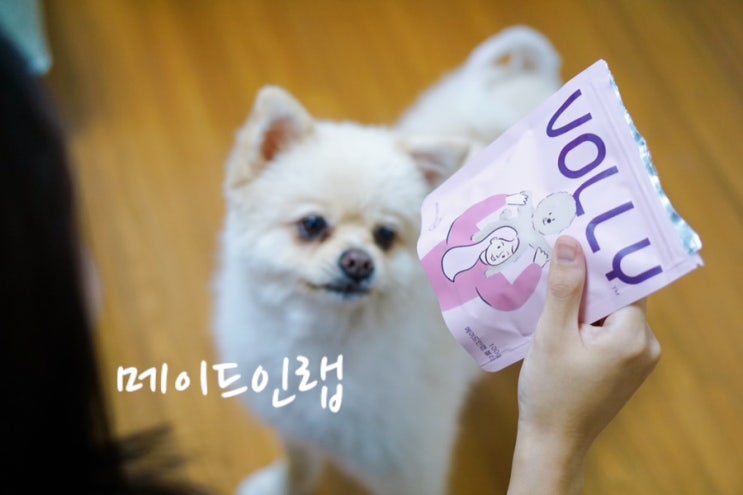  강아지 눈물 영양제 메이드인랩 볼리 눈물자국 없애는법