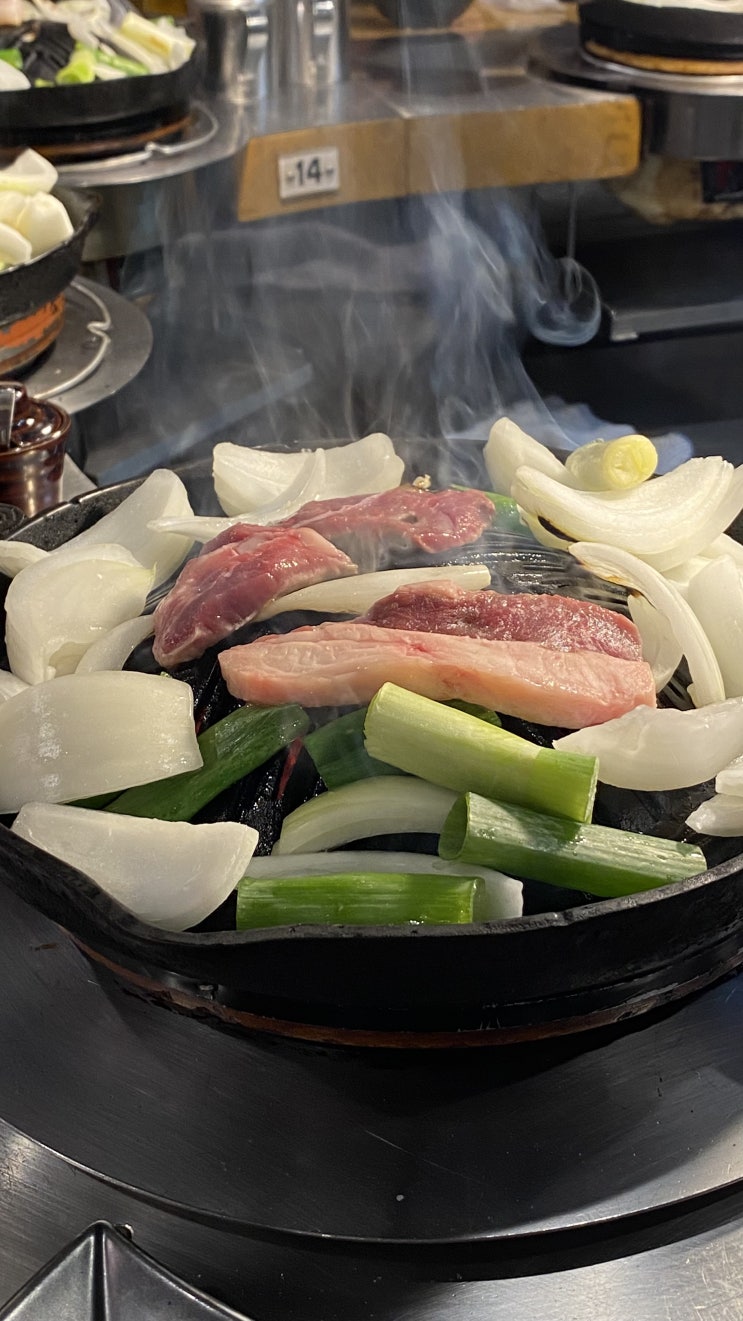  삿포로 징기스칸 맛집 다루마 5.5호점 다녀온 솔직 후기