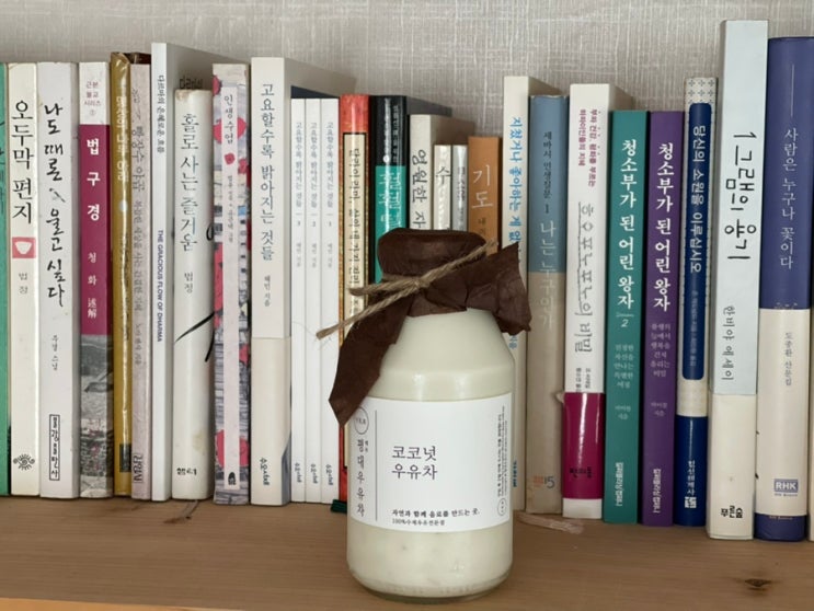  제주여행 제주 동쪽 카페 함덕해변 함덕 카페 평대우유차 후기