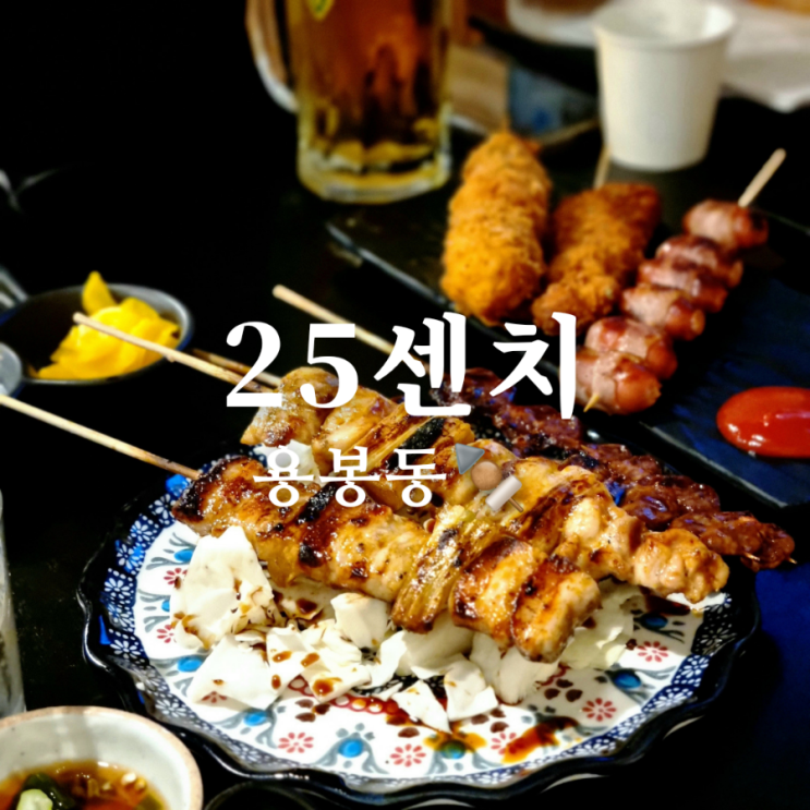  용봉동 술집 25센치 꼬치앤오뎅바에서 2차!