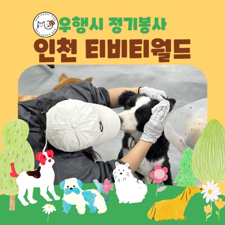  화성번식장 입양,인천 청라 티비티월드 봉사활동 후기!