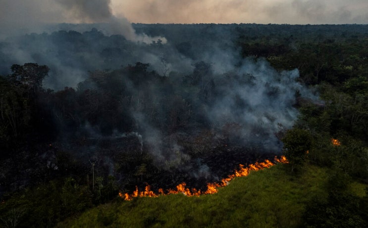 지구온난화 영향 피해 지구의허파 아마존 열대우림 산불 가뭄 기후위기 상황