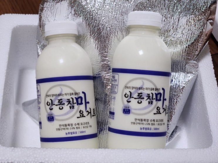  안동참마요거트 후기, 위장에 좋은음식
