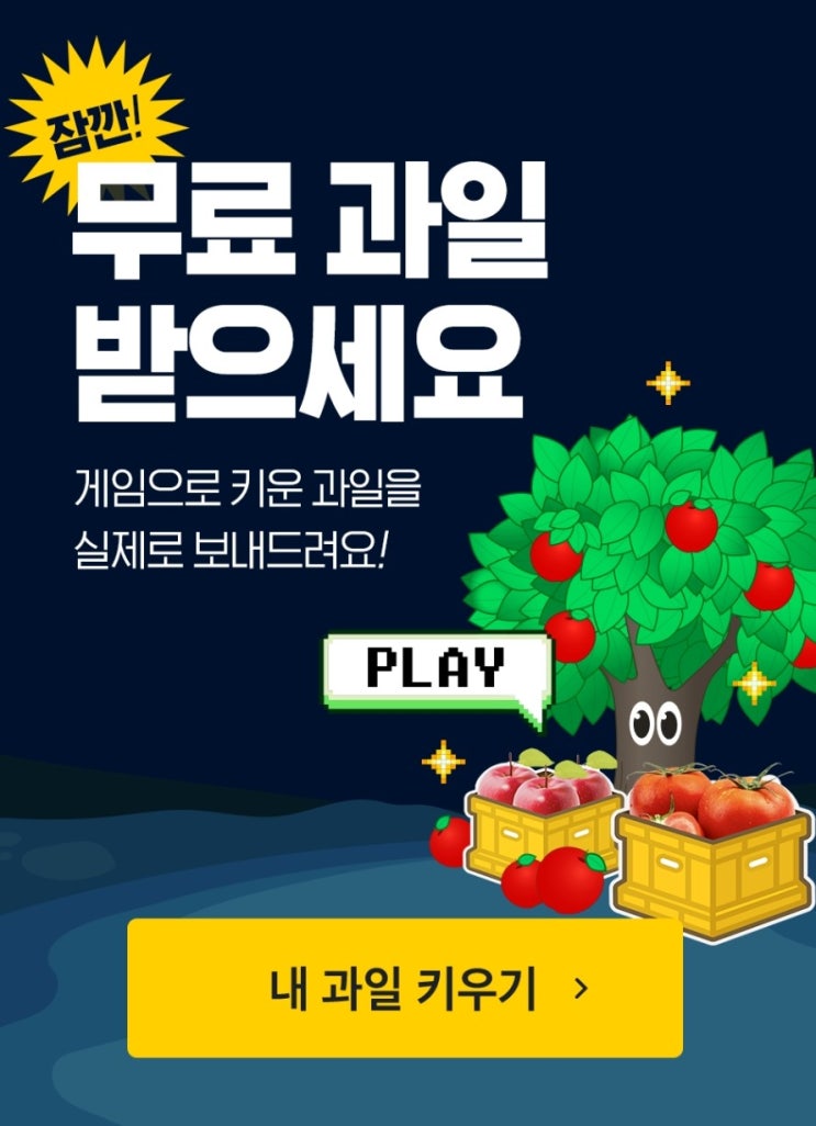  사과 방울토마토 재배하고 실제 과일 받는 모아농장