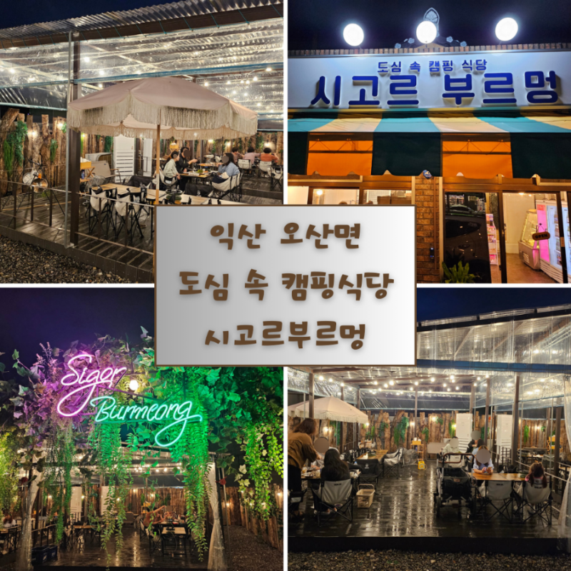 사진 3