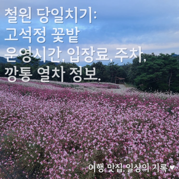  [철원 당일치기] 10월 가을 여행지로 추천_ 고석정 꽃밭 운영시간, 입장료, 주차, 깡통열차 정보