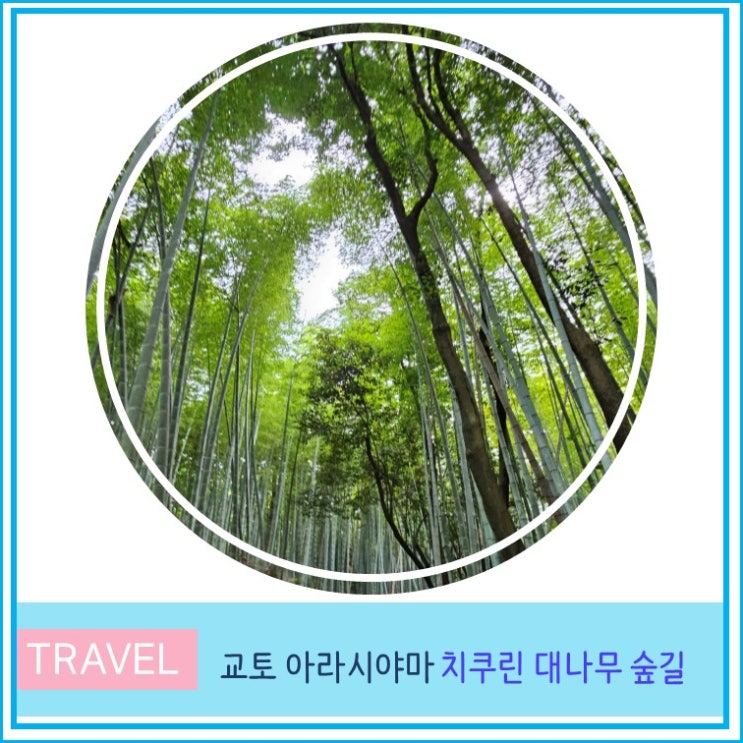  일본 교토 여행 아라시야마 텐류지 및 치쿠린 대나무 숲길 후기