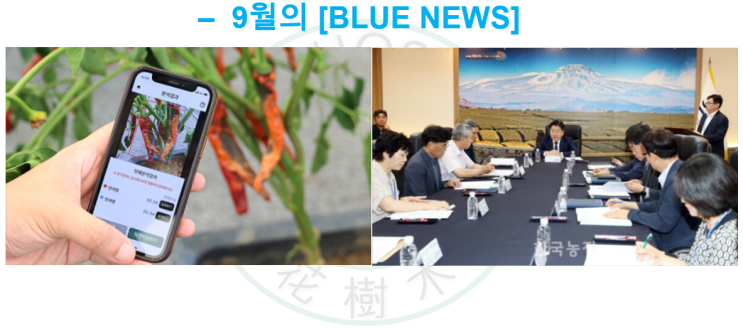  2023년 9월의 Blue News 모음