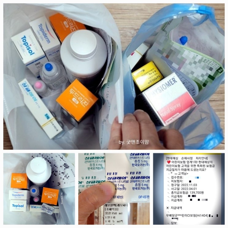 비염 피부소양증 등 집먼지 알레르기 증상 처방약 기타 관리 기록 (+ 히스토불린 스타로랄 등 실비 보험 청구 필요서류 및 청구결과) 비염 피부소양증 등 집먼지 알레르기 증상 처방약 기타 관리 기록 (+ 히스토불린 스타로랄 등 실비 보험 청구 필요서류 및 청구결과)