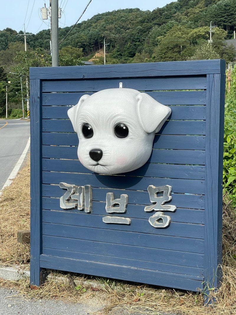 사진 3